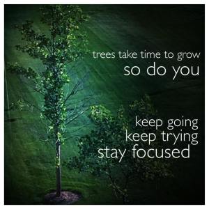 11180299_10206575743493368_1313878297740039808_n