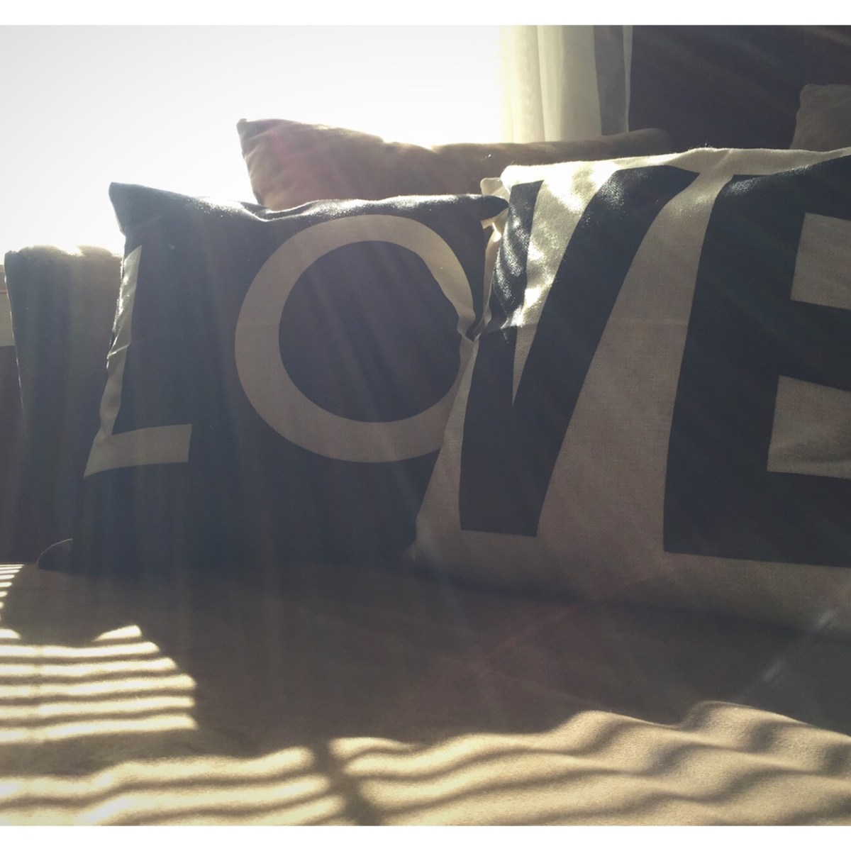 Today I am thankful for… fat&nbsp;birds