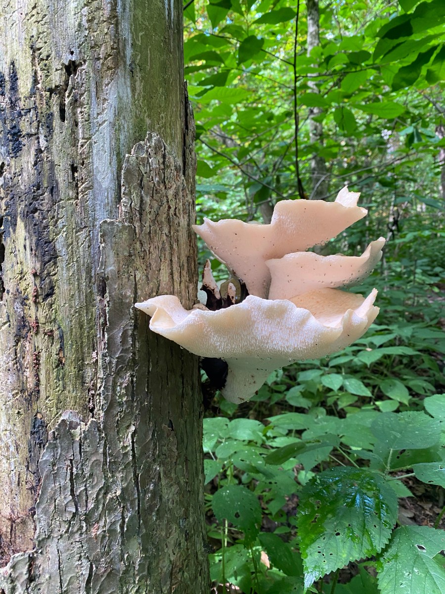 My Top 9: Week&nbsp;3