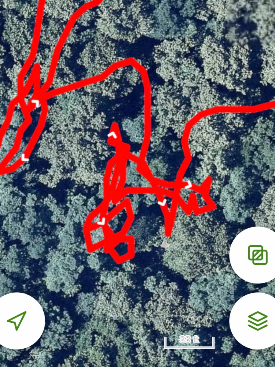 Lessons: Observations, Wandering &&nbsp;Permission